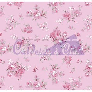 Raika cor 04 (Rose) 
